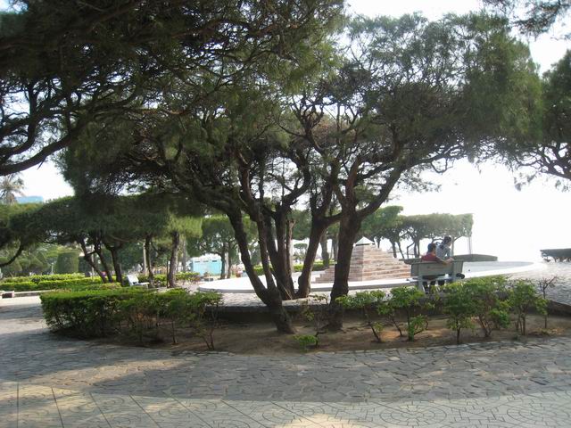 调整大小 IMG_9117.JPG