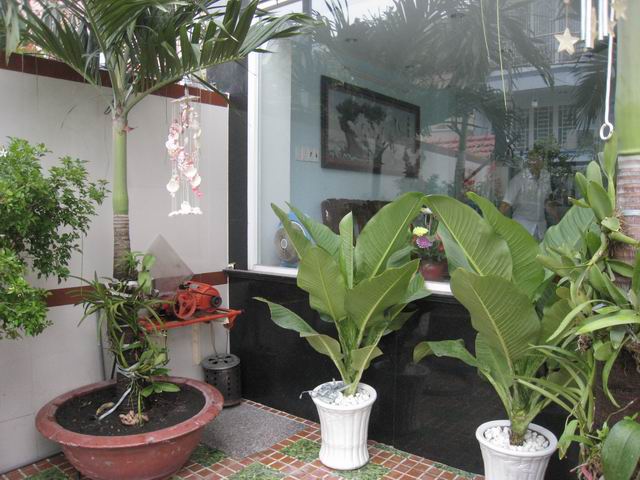 调整大小 IMG_9256.JPG