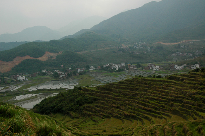 DSC_0029.jpg