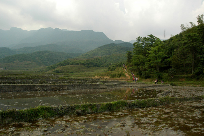 DSC_0019.jpg