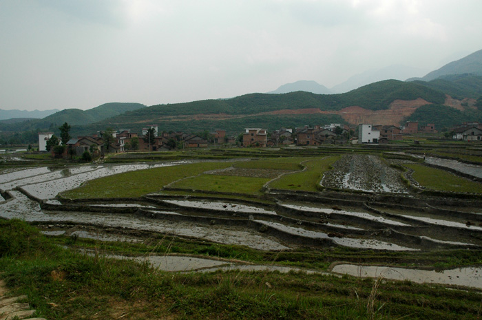 DSC_0020.jpg