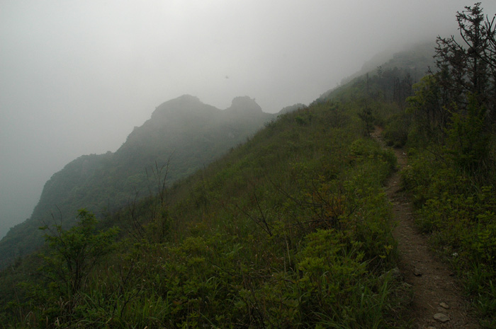 DSC_0059.jpg