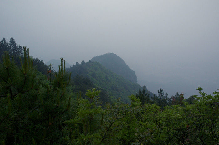 DSC_0052.jpg