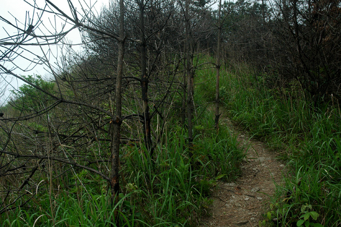 DSC_0055.jpg