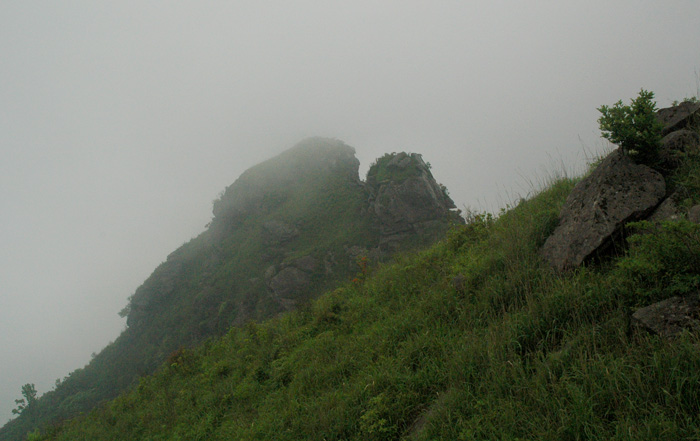DSC_0089.jpg