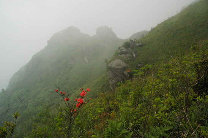 DSC_0078.jpg