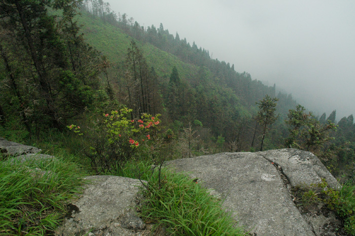 DSC_0085.jpg