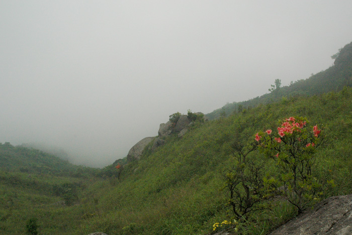 DSC_0087.jpg