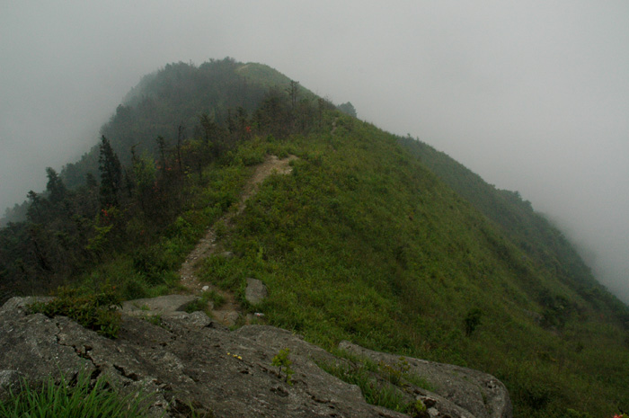 DSC_0088.jpg
