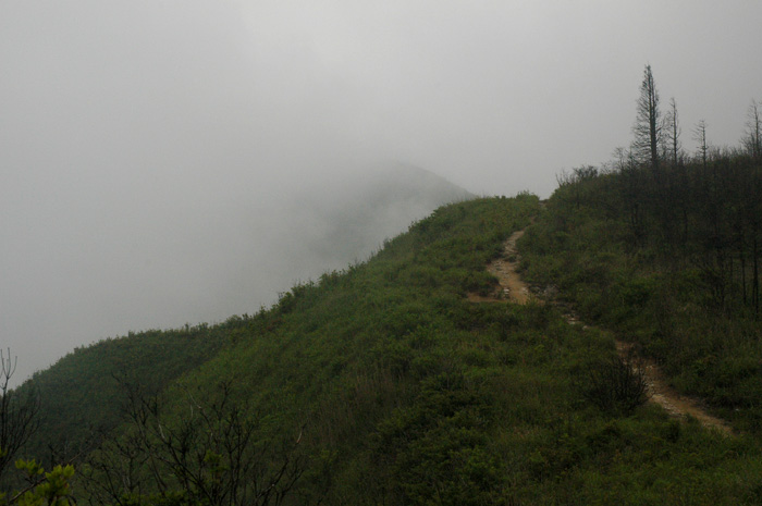 DSC_0103.jpg