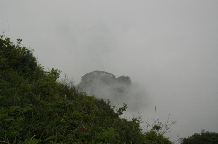 DSC_0107.jpg
