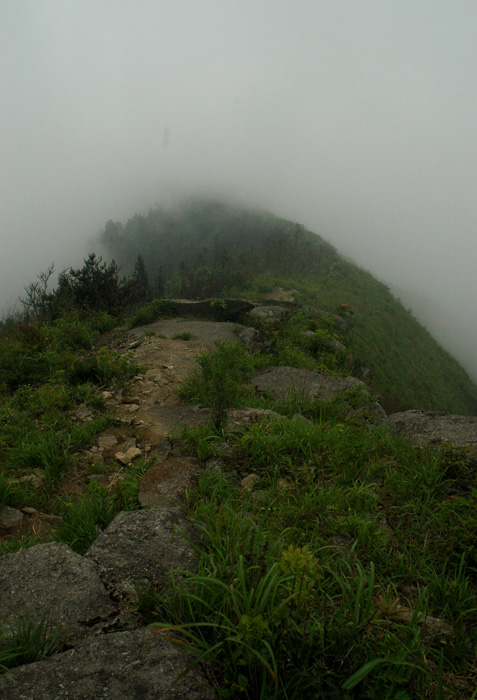 DSC_0092.jpg