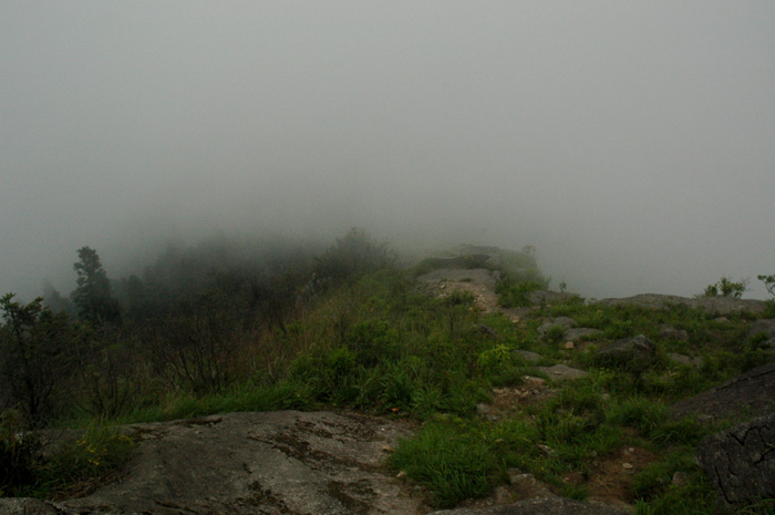 DSC_0093.jpg