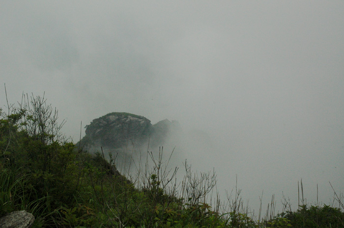 DSC_0108.jpg