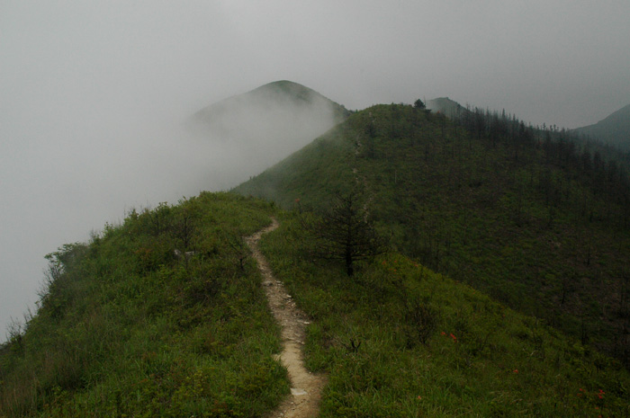 DSC_0125.jpg