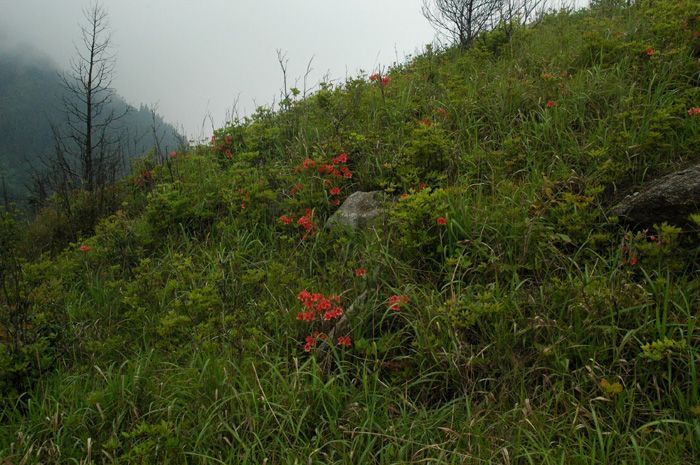 DSC_0128.jpg