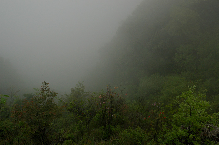 DSC_0145.jpg
