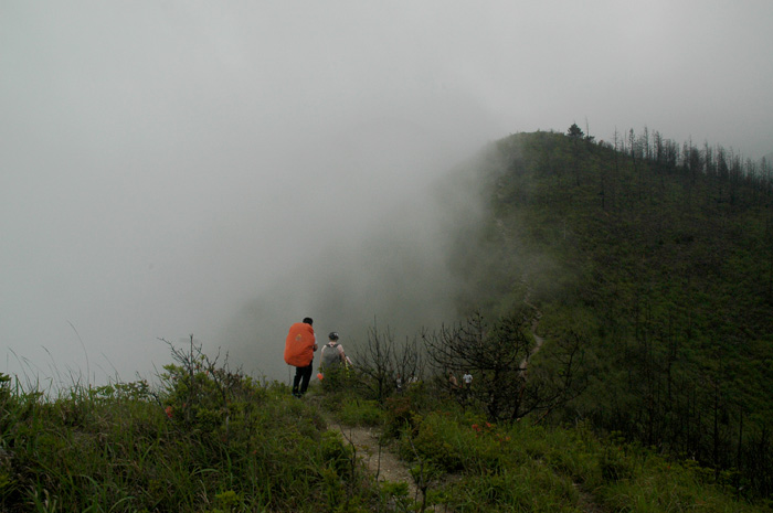 DSC_0136.jpg