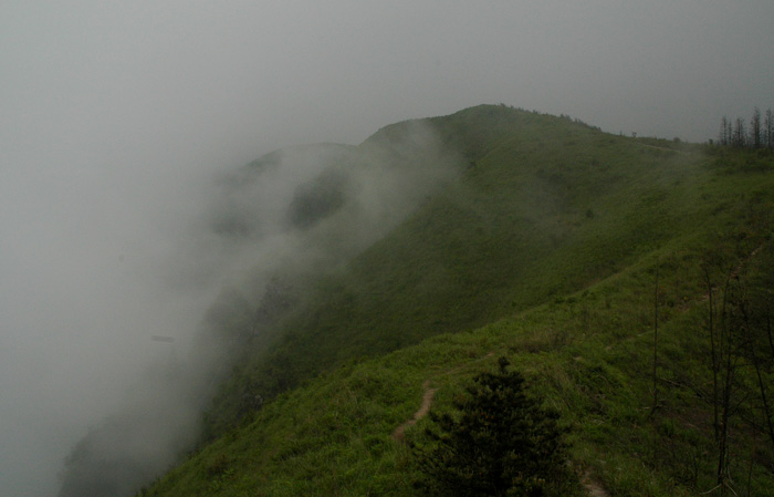 DSC_0184.jpg