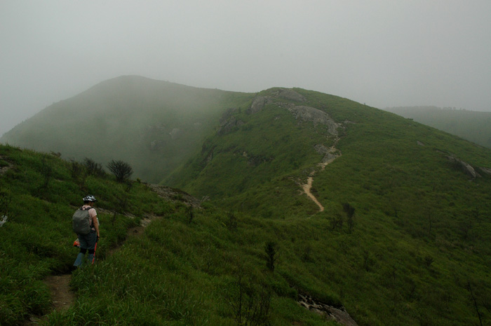 DSC_0205.jpg