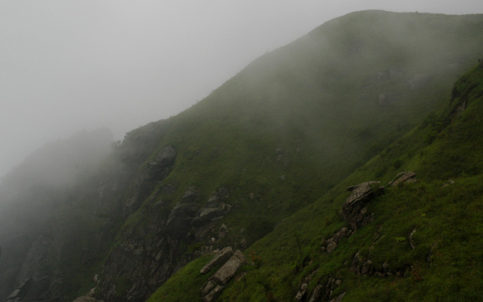 DSC_0206.jpg
