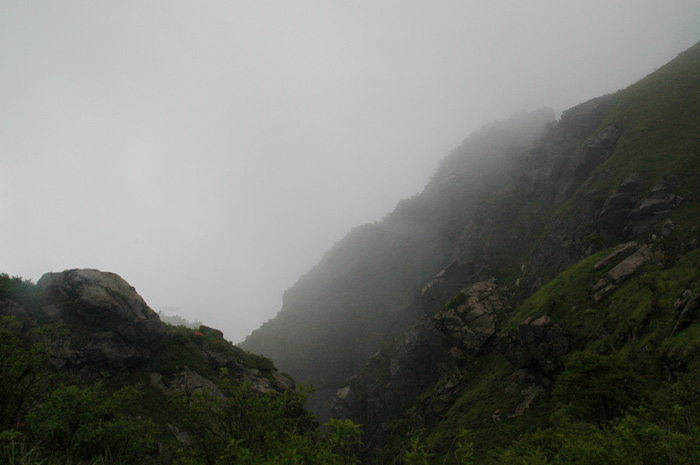 DSC_0207.jpg