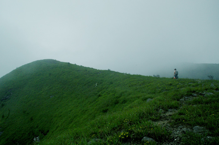 DSC_0238.jpg