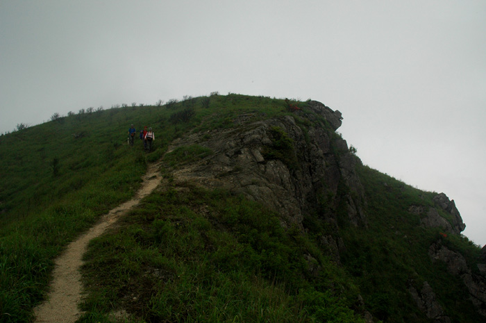 DSC_0217.jpg