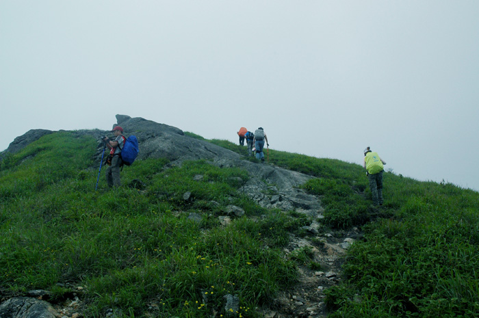 DSC_0232.jpg