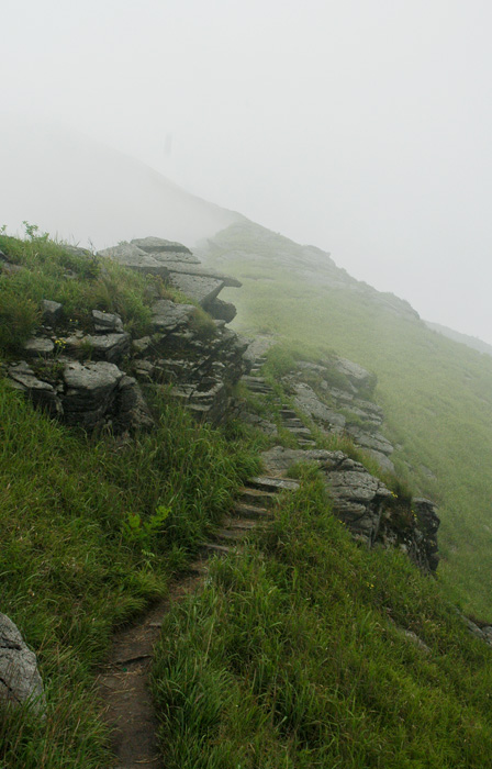 DSC_0282.jpg