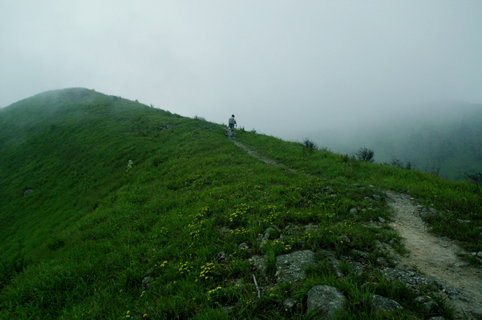 DSC_0240.jpg