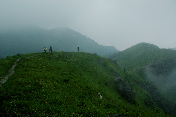 DSC_0242.jpg