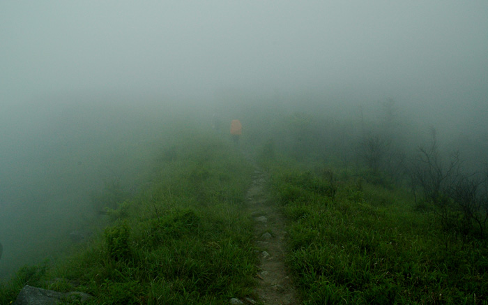 DSC_0245.jpg