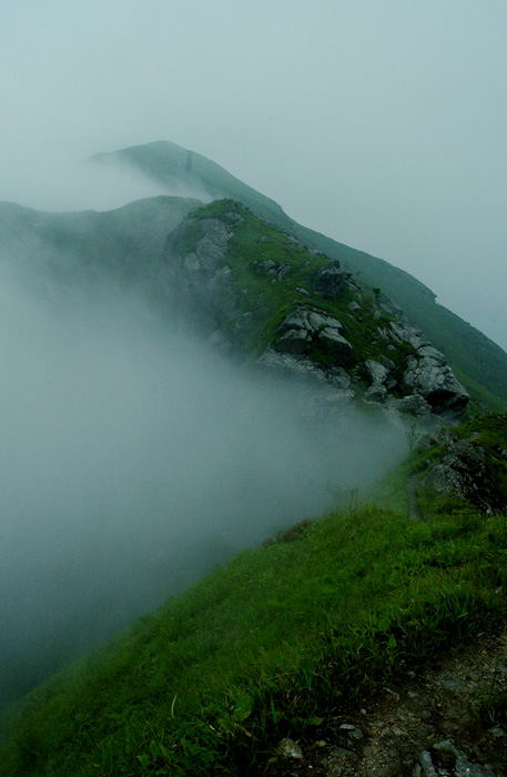 DSC_0246.jpg