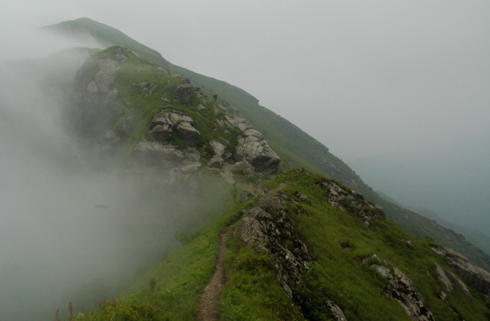 DSC_0259.jpg