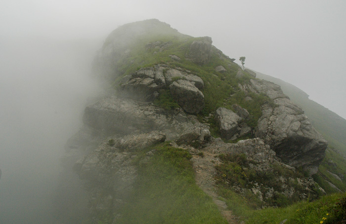 DSC_0265.jpg