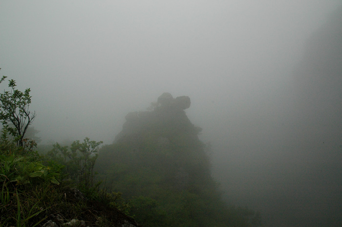 DSC_0268.jpg