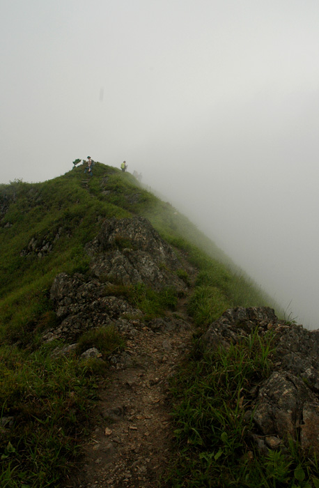 DSC_0270.jpg