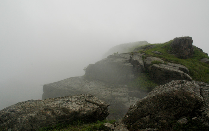 DSC_0272.jpg