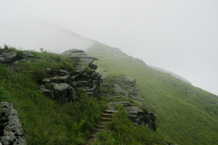 DSC_0283.jpg