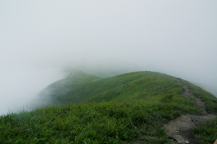 DSC_0293.jpg