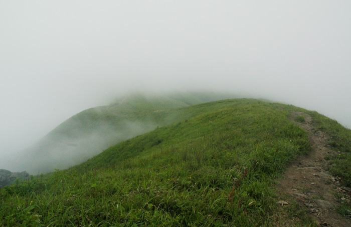 DSC_0299.jpg