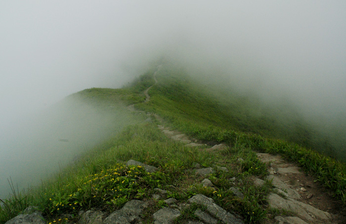 DSC_0315.jpg