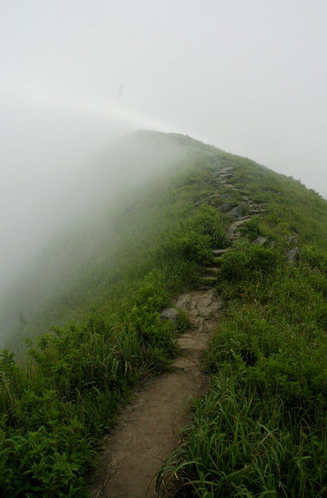 DSC_0318.jpg