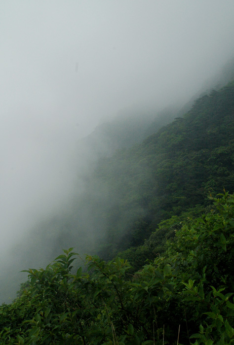 DSC_0400.jpg