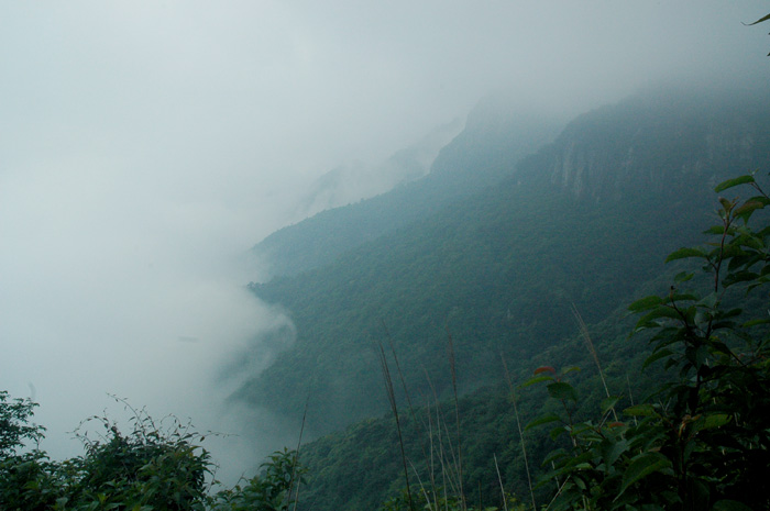 DSC_0411.jpg