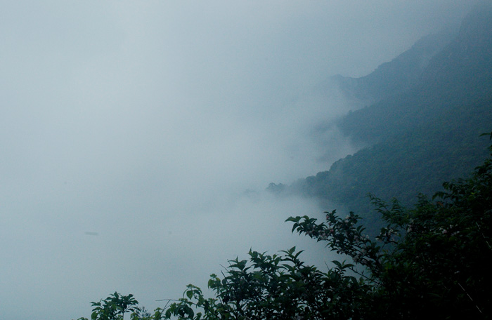 DSC_0419.jpg