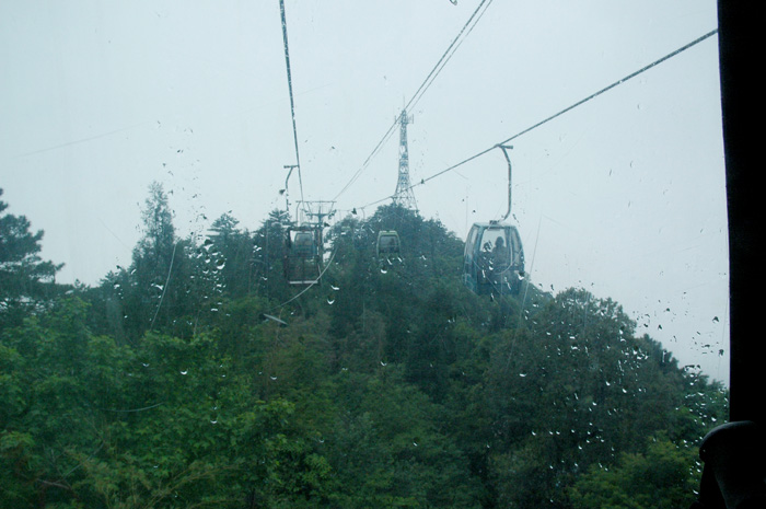 DSC_0428.jpg