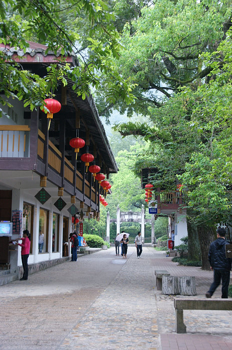 DSC04323.jpg