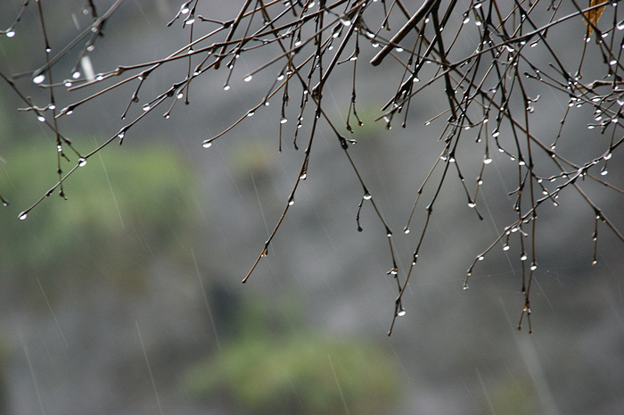 DSC04370.jpg